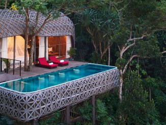 best treehouse hotels in the world